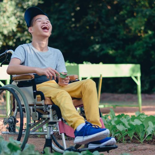 Asian special child on wheelchair and teacher happy on vegetable garden background,Activity in outdoor classroom with school, Life in the education age of disabled children,Happy disabled kid concept.